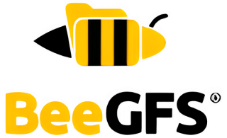 Warum BeeGFS?